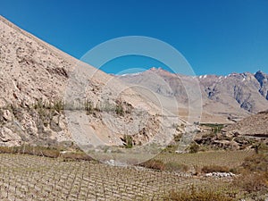 Elqui Valley in northern Chile. Wine Grape Farmland