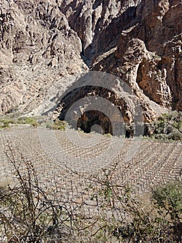 Elqui Valley in northern Chile. Wine Grape Farmland