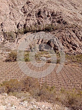 Elqui Valley in northern Chile. Wine Grape Farmland