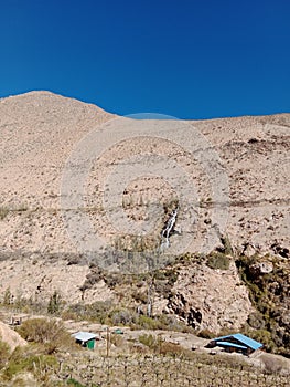 Elqui Valley in northern Chile. Wine Grape Farmland