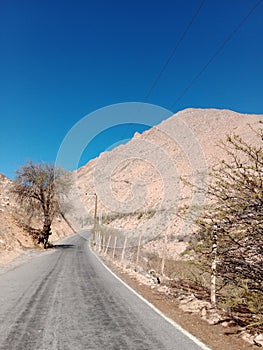 Elqui Valley in northern Chile. Wine Grape Farmland