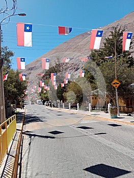 Elqui Valley in northern Chile. Wine Grape Farmland