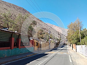 Elqui Valley in northern Chile. Wine Grape Farmland