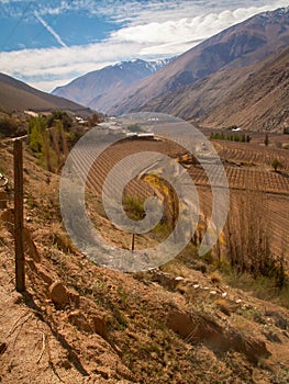 Elqui Valley Portrait