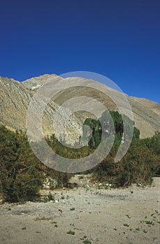 Elqui Valley or Valle del Elqui photo