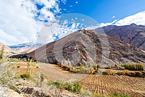 Elqui Valley View photo