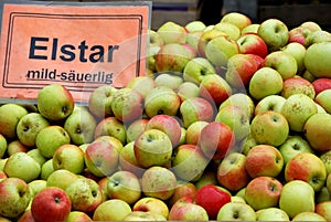 Elstar appel