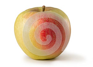 Elstar apple isolated against white background