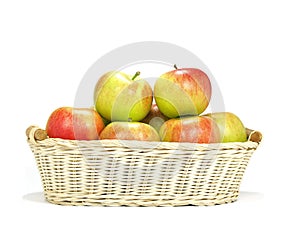 Elstar variety apples