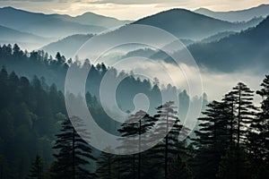 Elusive Smoky cloudy mountains trees natural. Generate AI photo