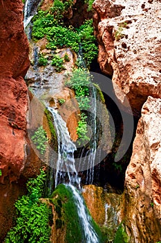 Elves Chasm Grand Canyon