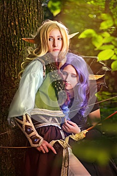 Elves From The Woods photo