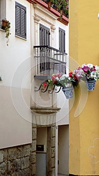 Elvira street-albayzin-Granada photo
