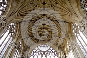 Ely Cathedral Ceilings - Cambridgeshire - England