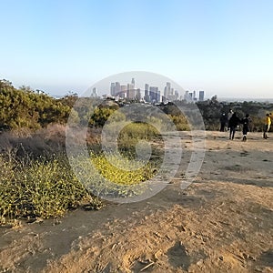 Elysian park DTLA view