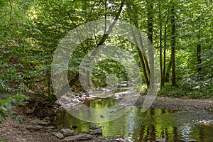 Elzbach water stream and forest near Eltz Castle, Germany