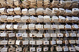 Ema, small wooden plaques, at the Meji Shrine in Harajuku in Tokyo, Japan