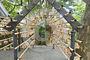 `Ema`  Votive picture tablet  in the Japanese shrine.