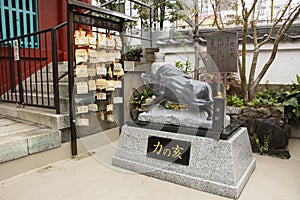 Ema wood tag or wooden label at Marishiten Tokudaiji Temple in Ameyoko Market at Ueno city in Tokyo, Japan