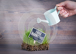 Email Marketing concept. Fresh and green grass on wood background