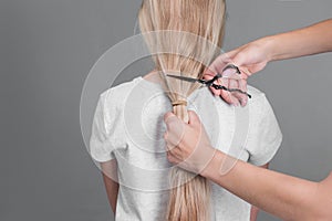 Emale hairdresser hold in hand between fingers lock of blonde hair, comb and scissors closeup. Image of hairdresser trimming ends