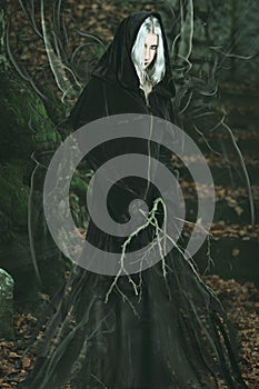 Emanation of dark powers from a forest witch photo