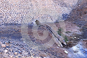 Embalse de los Molinos, Fuerteventura, Canary Islands: the outlet area of the old reservoir