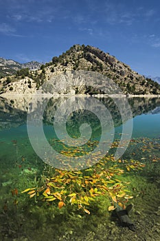 Embalse del Portillo Granada