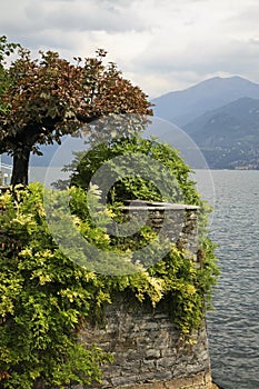 Embankment in Cadenabbia. Lombardy. Italy