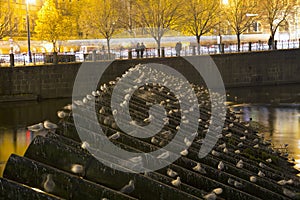 Embankment of the Vltava River near Charles Bridge, night. Prague. Czech Republic