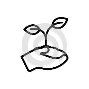 Embed outline icon.