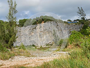 Embedded Limestone Mass