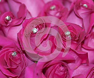 Embellished Roses