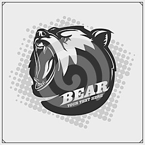 The emblem with bear. Print design for t-shirt.