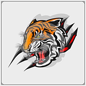 The emblem with tiger for a sport team. Print design for t-shirt.