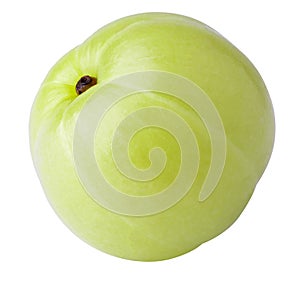 Emblic or Indian gooseberry leaves isolated on a white background