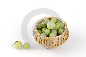 Emblic myrablan, Malacca tree (Phyllanthus emblica L.)