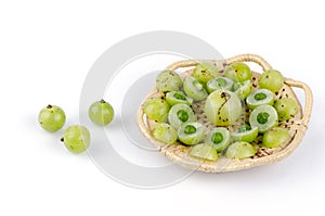 Emblic myrablan, Malacca tree (Phyllanthus emblica L.)