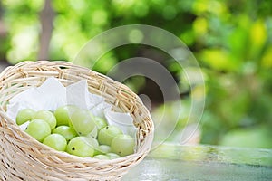 Emblica,amla green fruits