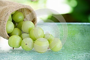 Emblica,amla green fruits