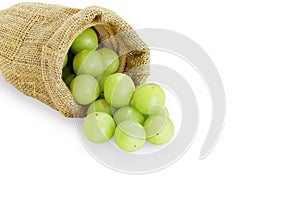 Emblica,amla green fruits