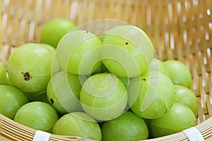 Emblica,amla green fruits