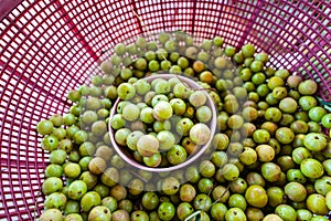 Emblica fruit in the basket