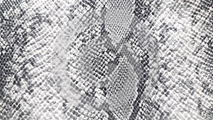 Embossed faux leather texture with python and snake print. Gray, snake print, background.