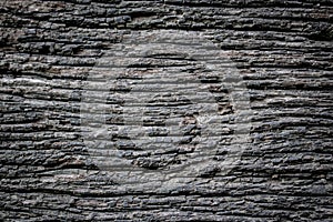 Embossed texture of the brown bark.Tree bark texture. Seamless bark tree texture. texture of bark wood use as natural background