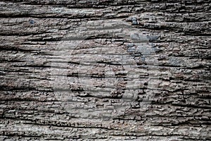 Embossed texture of the brown bark.Tree bark texture. Seamless bark tree texture. texture of bark wood use as natural background