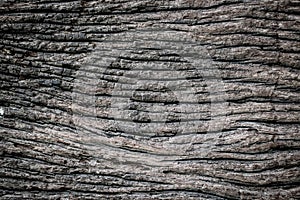 Embossed texture of the brown bark.Tree bark texture. Seamless bark tree texture. texture of bark wood use as natural background