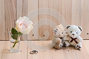 Embrace Couple Bear in love propose Engage ring