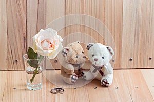 Embrace Couple Bear in love propose engage ring