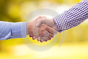 Embracing collaboration with a Handshake against a serene nature background